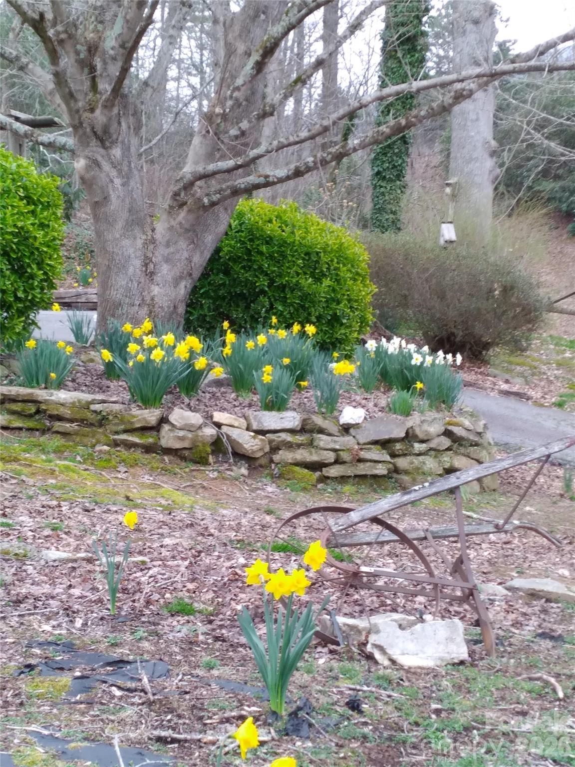 74 Huntley Road Fletcher, NC 28732 - Photo 43 of 45 a view of a garden with a patio