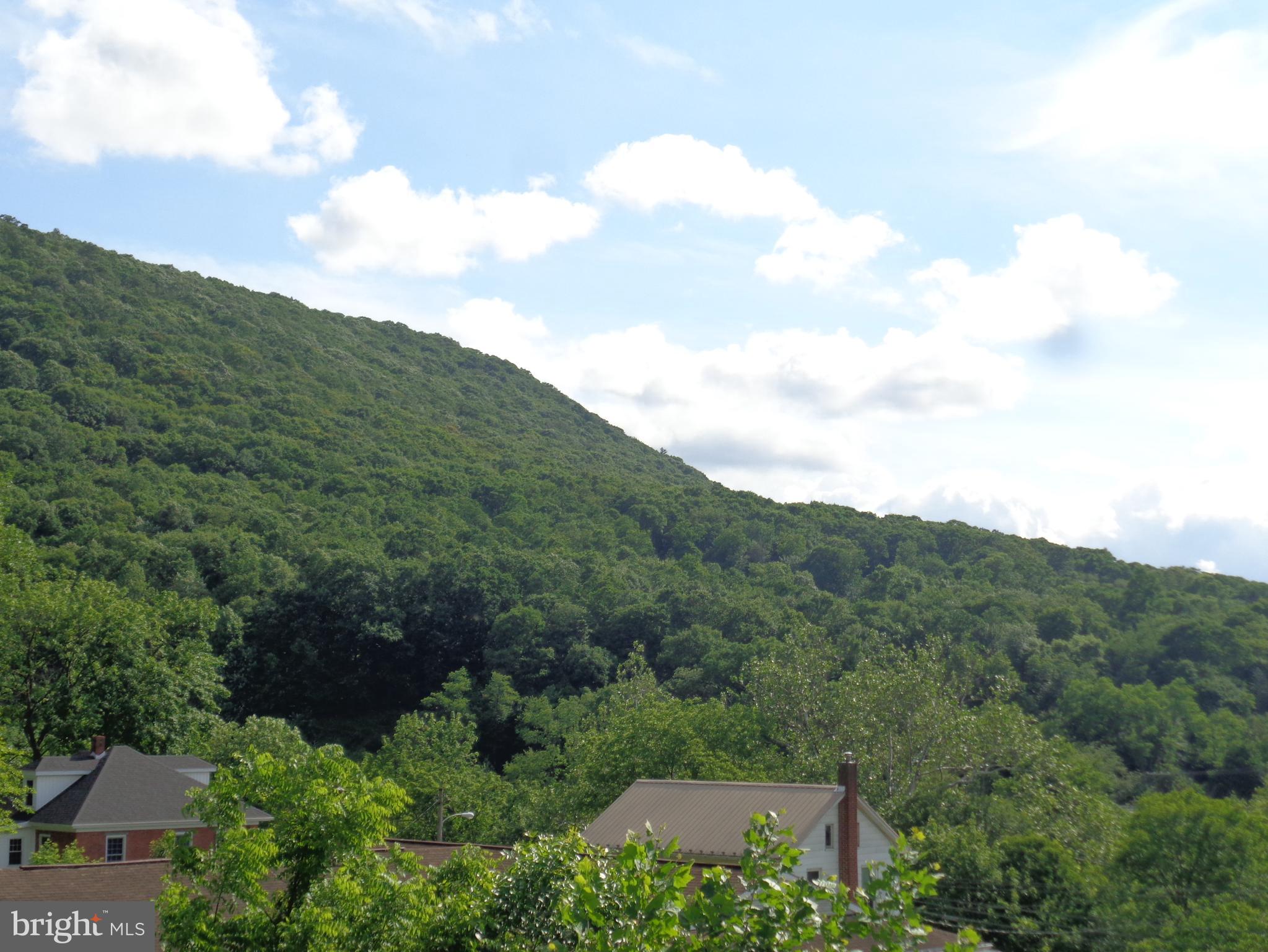 24 Fawn Road Reedsville, PA 17084 - Photo 7 of 23 VIEW FROM LIVING ROOM