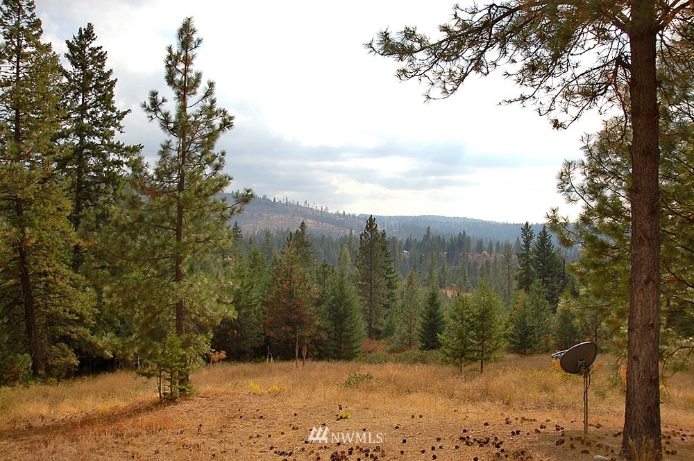 15308 East Nelson Road Elk, WA 99009 - Photo 14 of 15