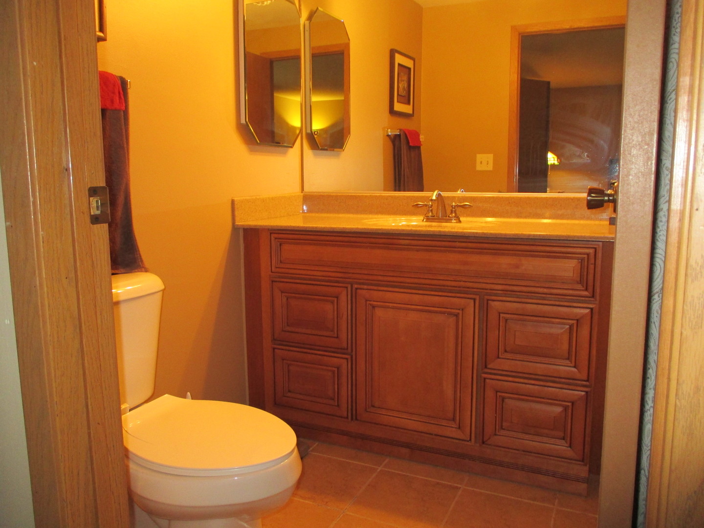 30W261 Mack Road Warrenville, IL 60555 - Photo 19 of 28 a bathroom with a granite countertop toilet sink and mirror