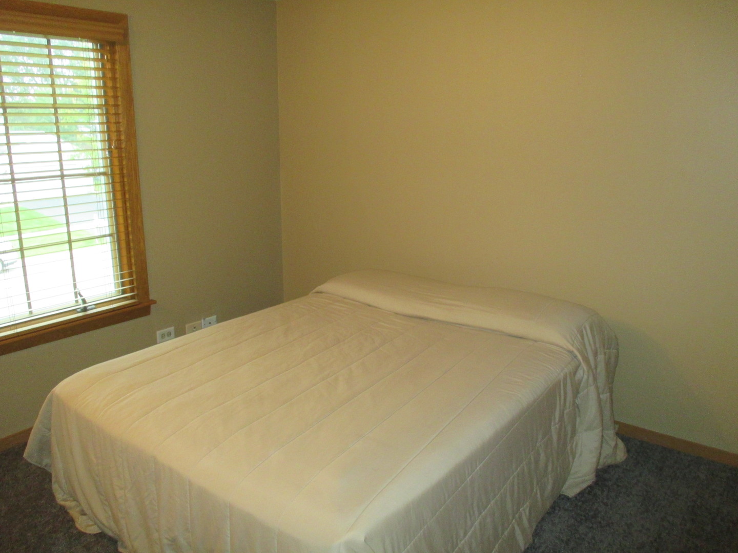 30W261 Mack Road Warrenville, IL 60555 - Photo 20 of 28 a bed sitting in a bedroom next to a window