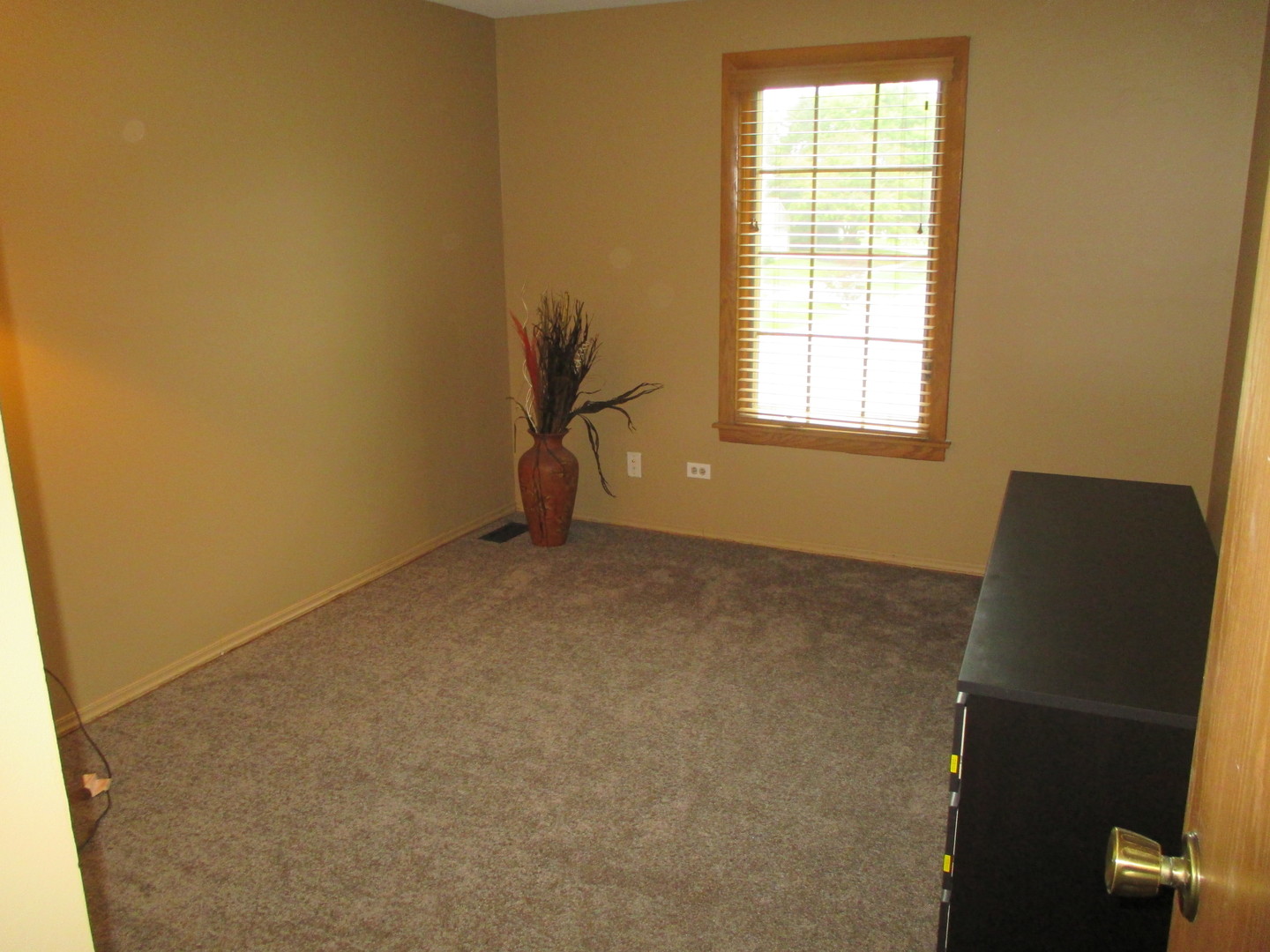 30W261 Mack Road Warrenville, IL 60555 - Photo 22 of 28 an empty room with windows