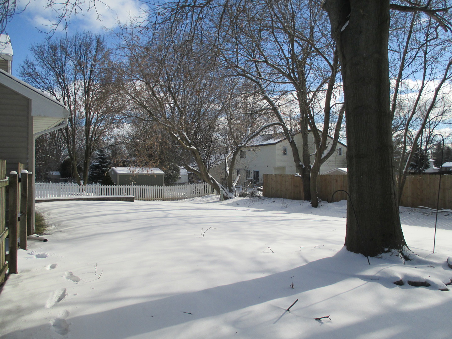 30W261 Mack Road Warrenville, IL 60555 - Photo 25 of 28 a view of road with with trees