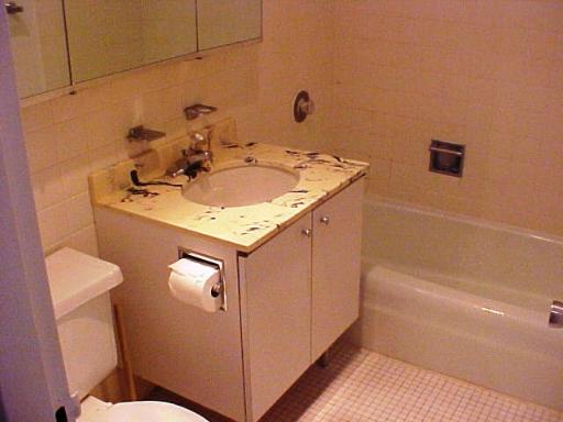 655 West Irving Park Road, Unit 4413 Chicago, IL 60613 - Photo 7 of 11 a bathroom with a sink a toilet and shower