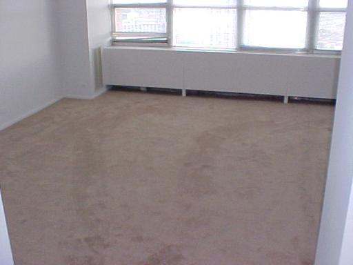 655 West Irving Park Road, Unit 4413 Chicago, IL 60613 - Photo 8 of 11 a view of a bathtub in a room