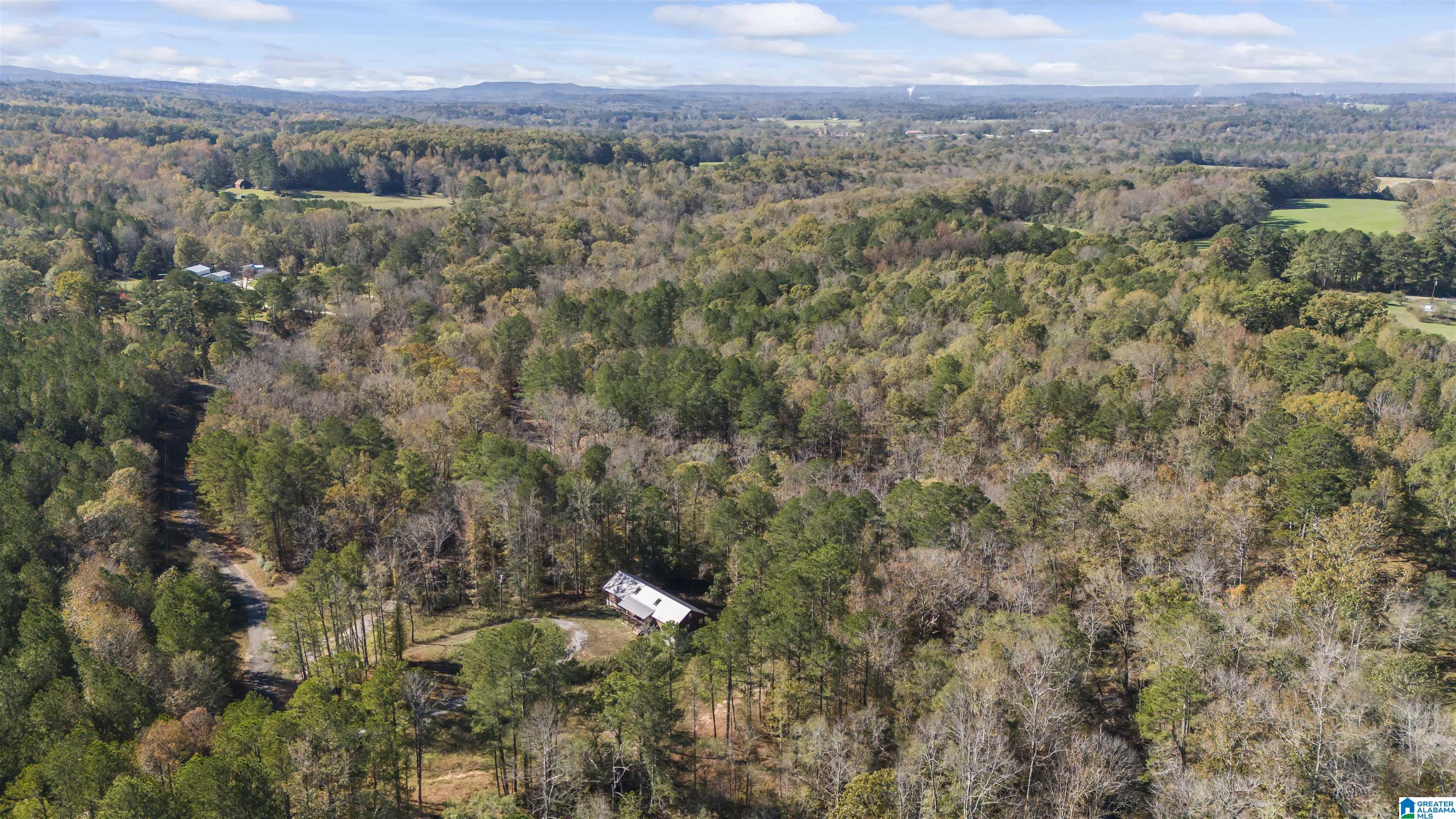 1078 Chamblee Mill Road Blountsville, AL 35031 - Photo 16 of 25