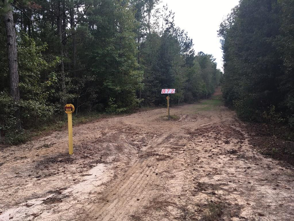 4291 Columbia Highway North Ridge Spring, SC 29129 - Photo 6 of 7