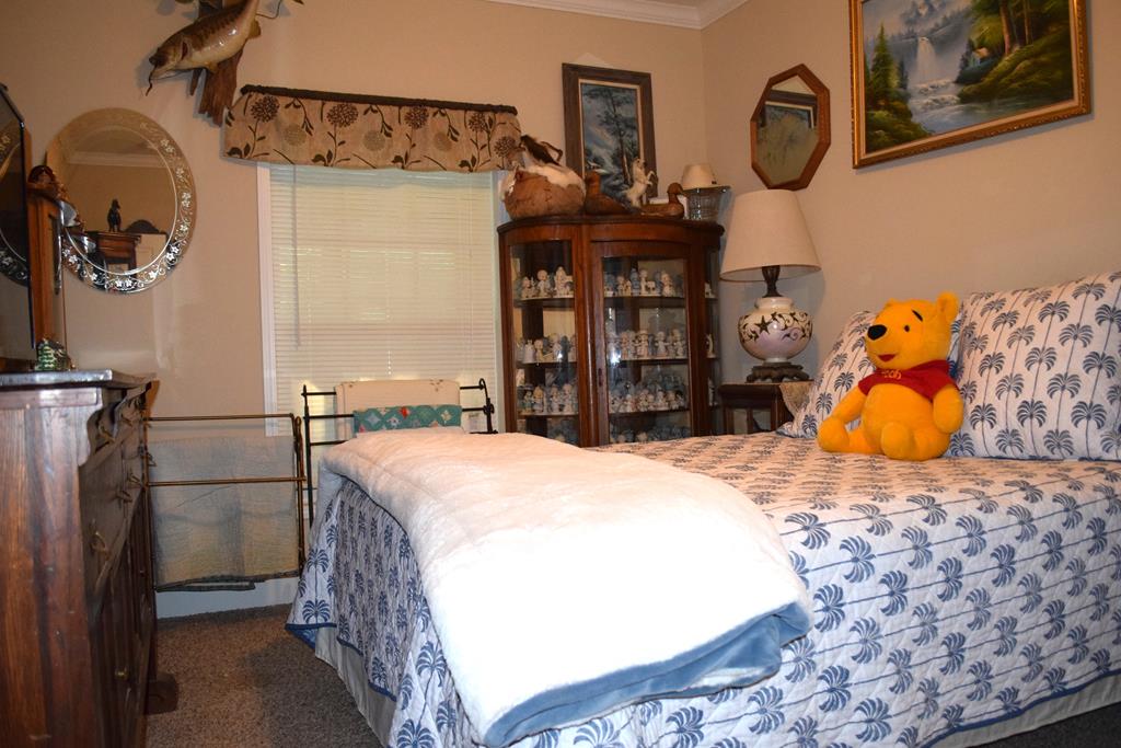 7252 County Road 49 Slocomb, AL 36375 - Photo 25 of 75