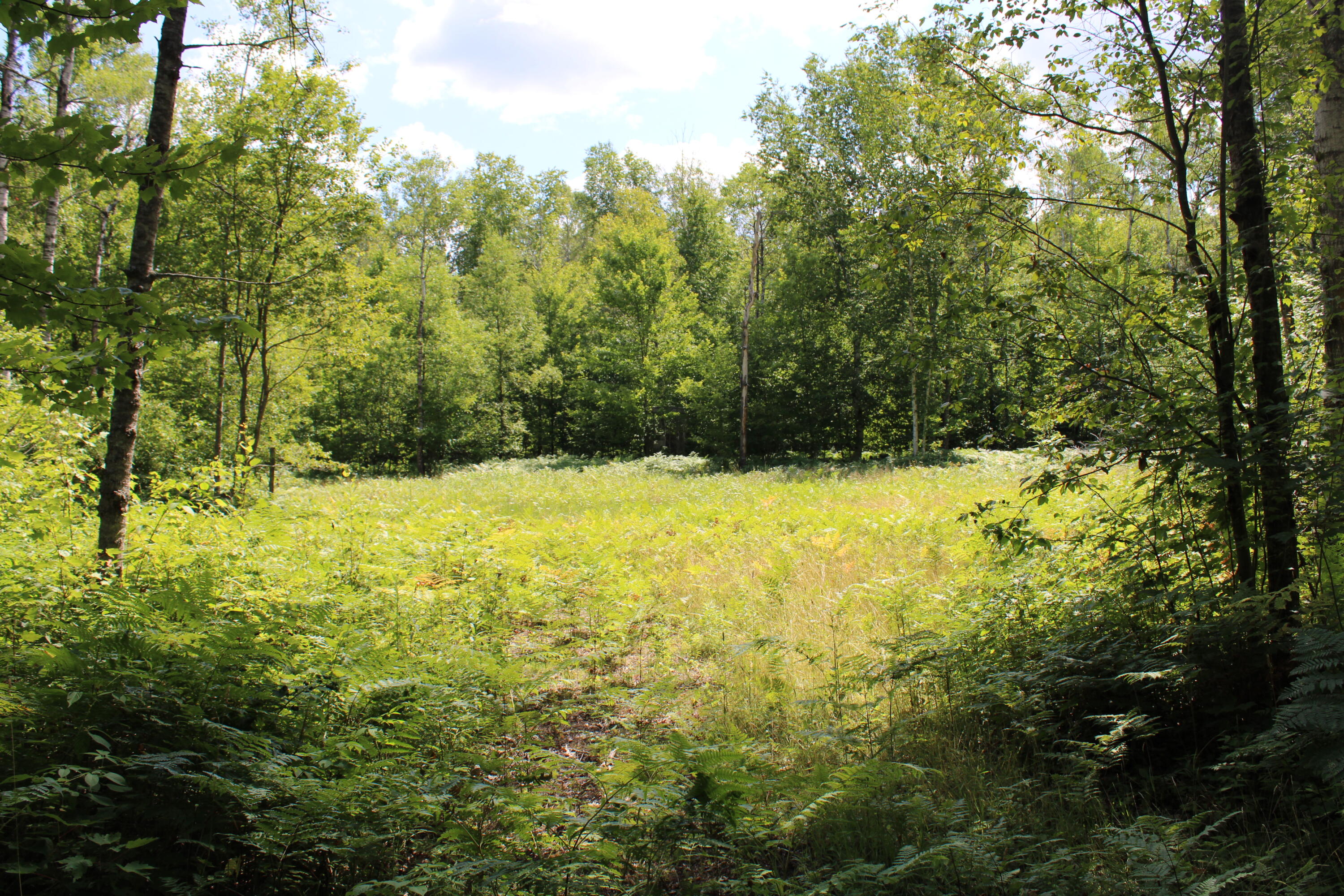 1015 North Hockaday Road Gladwin, MI 48624 - Photo 11 of 15 IMG_1639