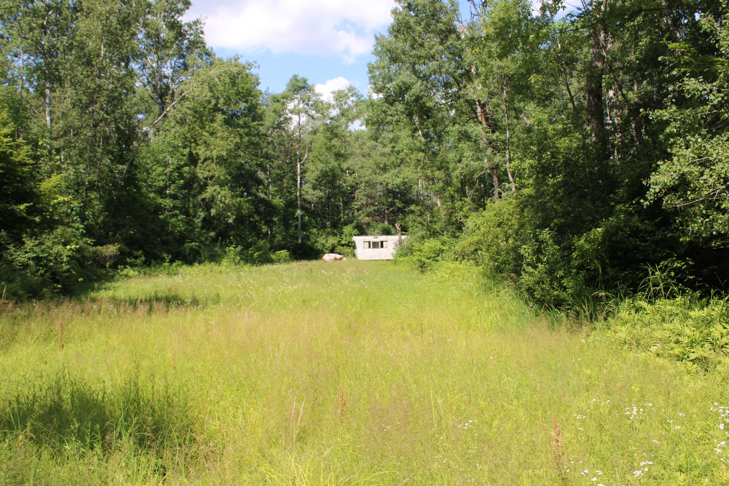 1015 North Hockaday Road Gladwin, MI 48624 - Photo 9 of 15 IMG_1637