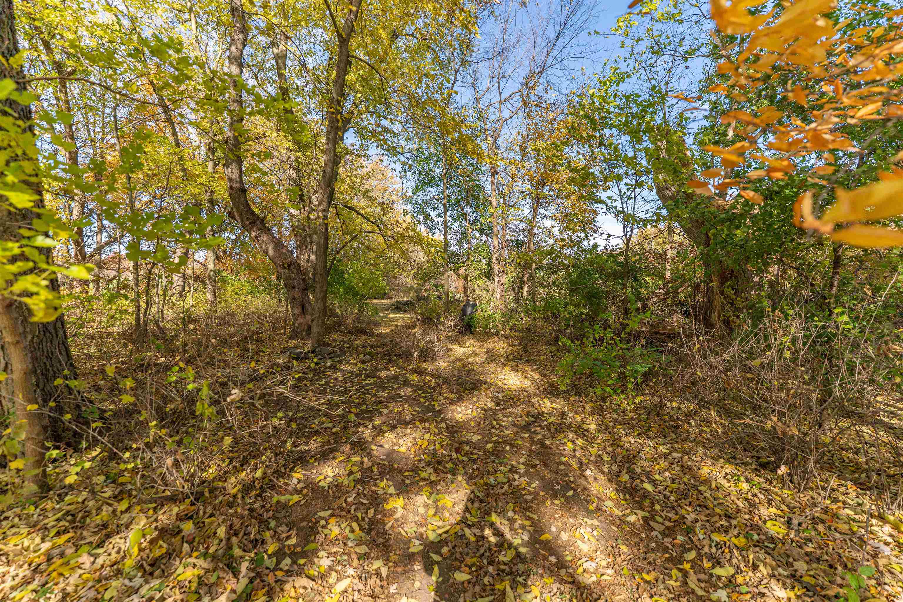 9709 Cunningham Road Winnebago, IL 61088 - Photo 47 of 98