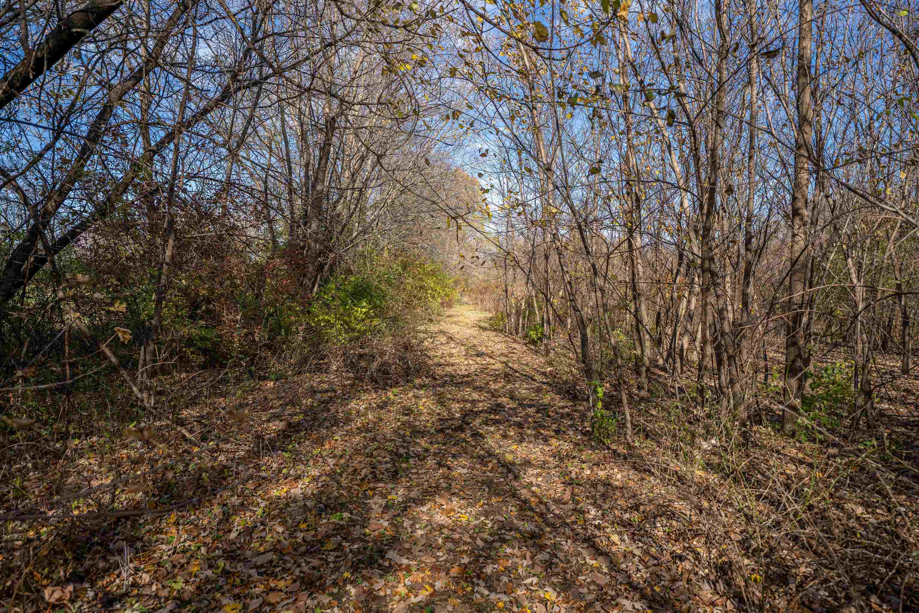 9709 Cunningham Road Winnebago, IL 61088 - Photo 54 of 98