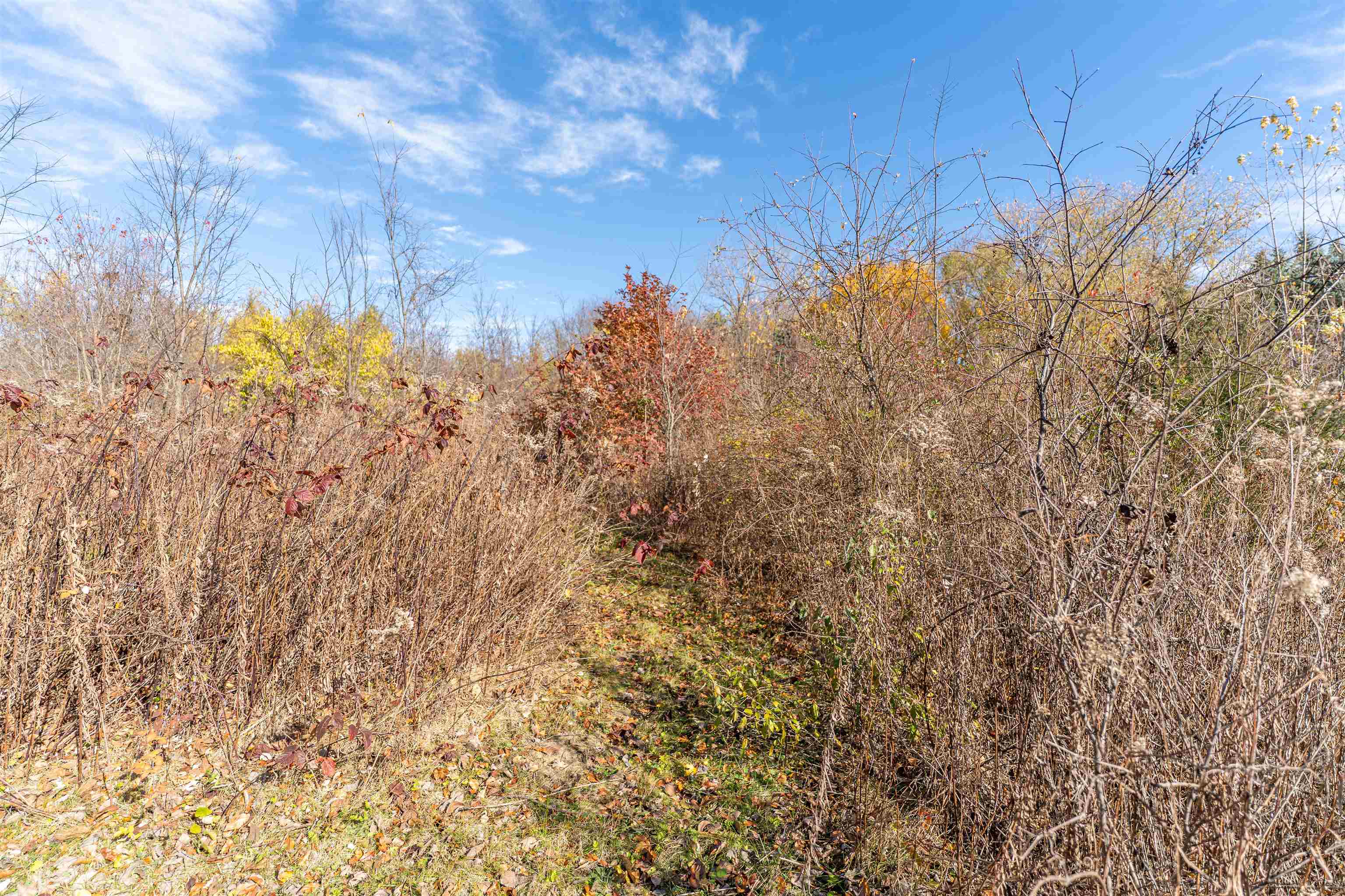 9709 Cunningham Road Winnebago, IL 61088 - Photo 55 of 98