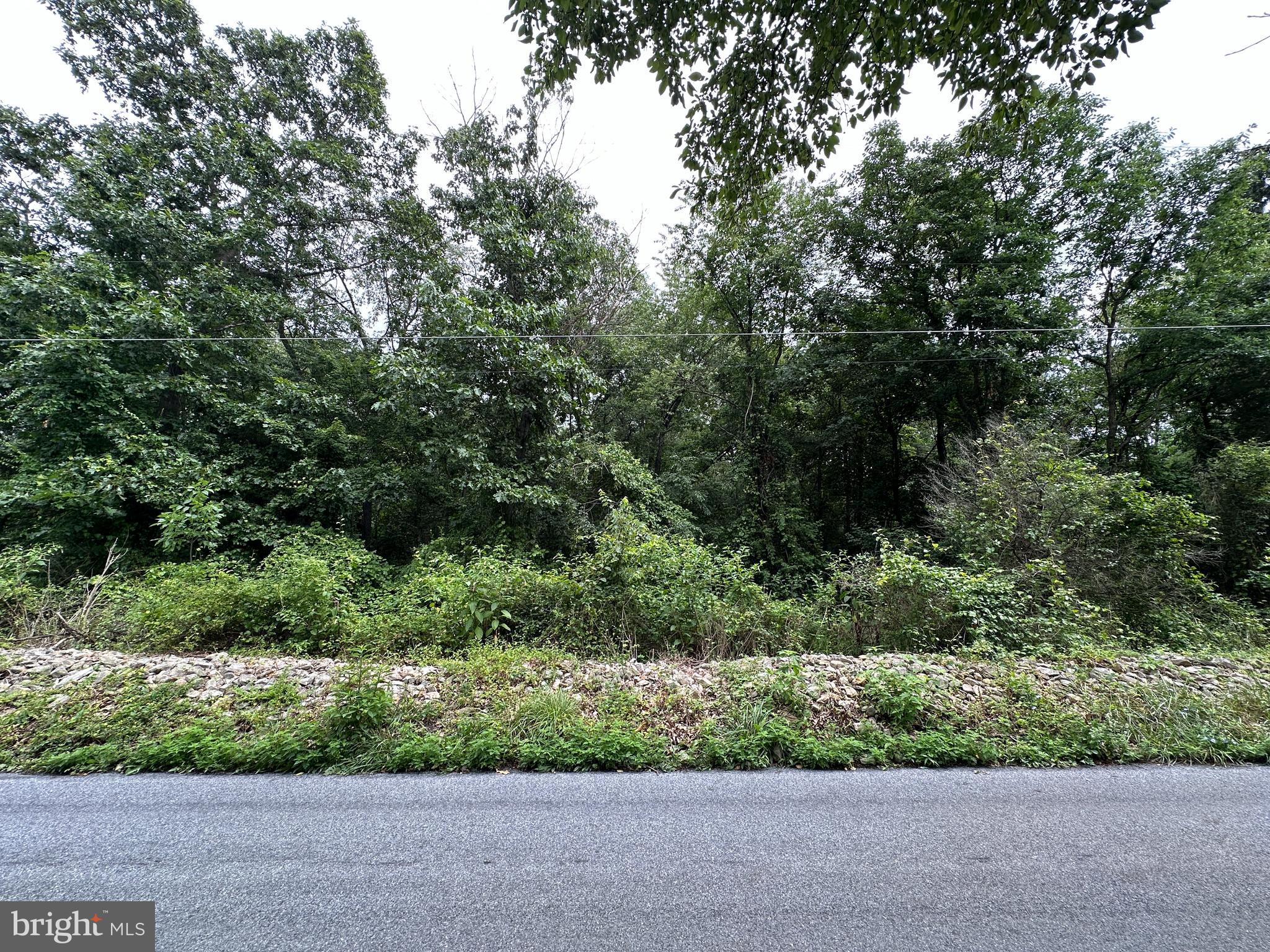 9-acres Polidor Road Waynesboro, PA 17268 - Photo 4 of 20