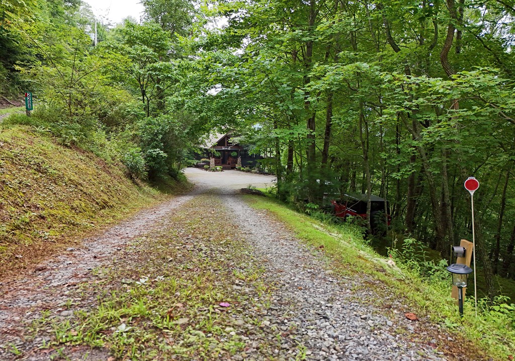 2274 Layson Road Hiawassee, GA 30546 - Photo 11 of 46 Gallery Image 11