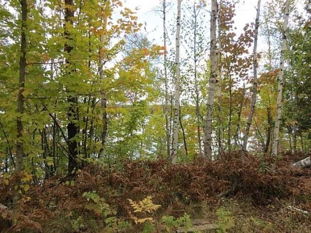 On Agony Point Road Presque Isle, WI 54557 - Photo 13 of 15 Gallery Image 13
