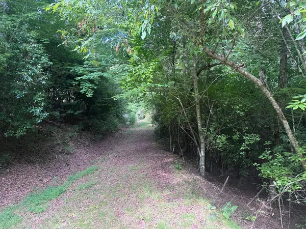 $23,900 | 39 Fiddlers Way, Brasstown, NC 28902