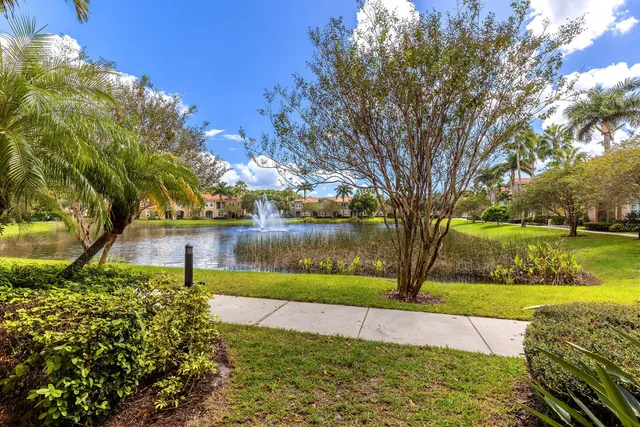 a view of a park with large trees