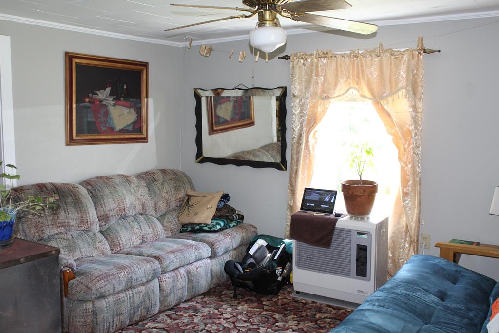 869 Coleman Ridge Road Galax, VA 24333 - Photo 3 of 25 Gallery Image 3