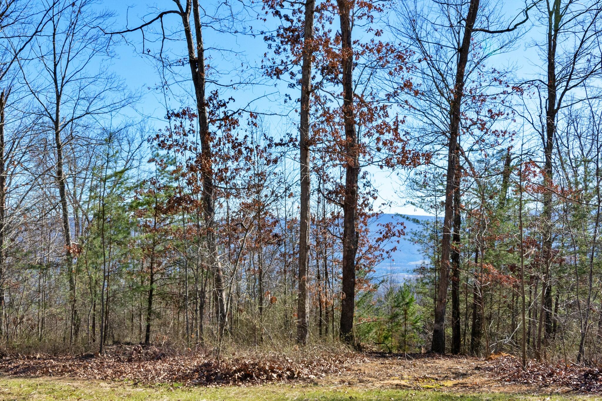 2770 Bluff View Drive Dunlap, TN 37327 - Photo 12 of 71 2770 Bluffview Rd-71