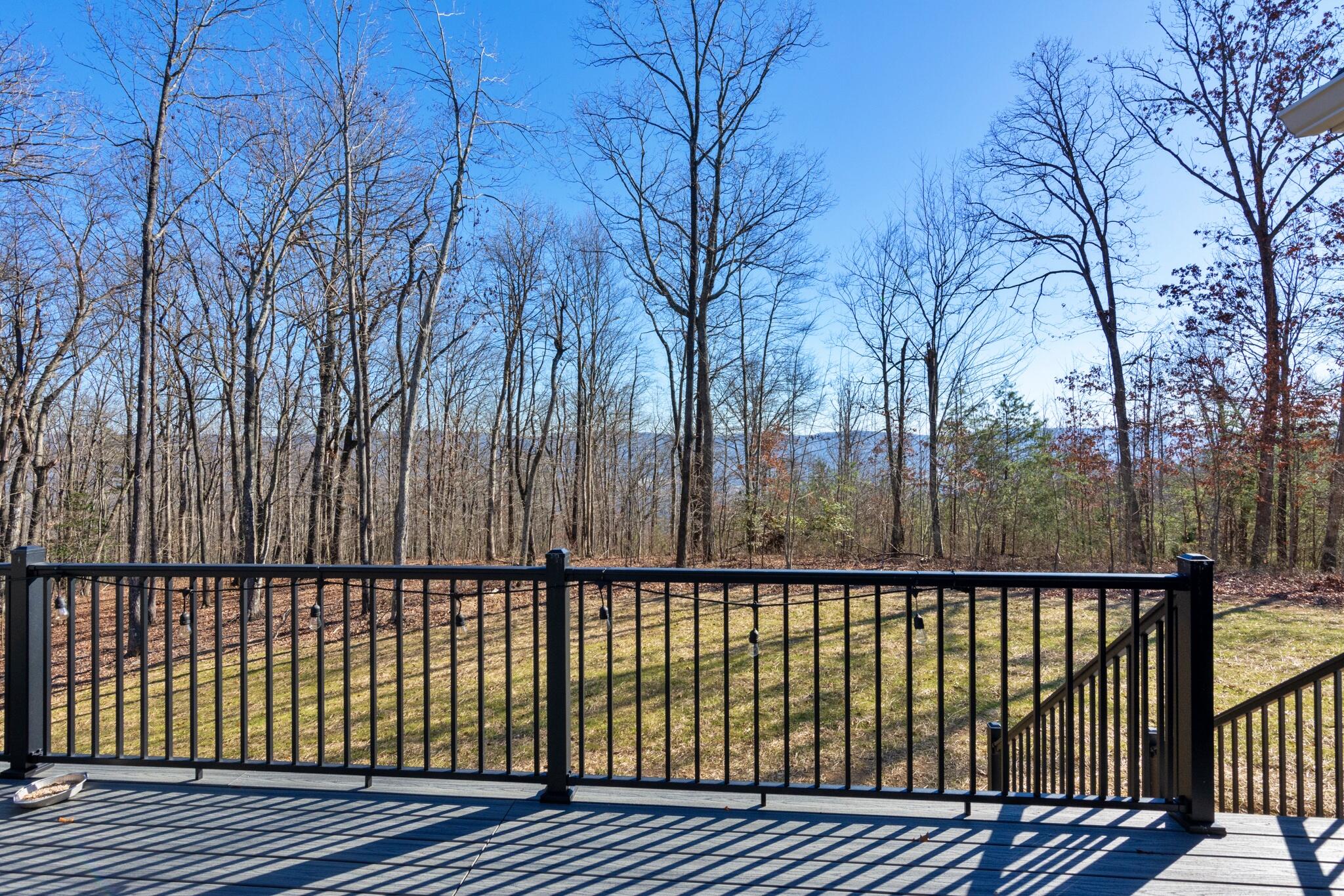 2770 Bluff View Drive Dunlap, TN 37327 - Photo 13 of 71 2770 Bluffview Rd-68