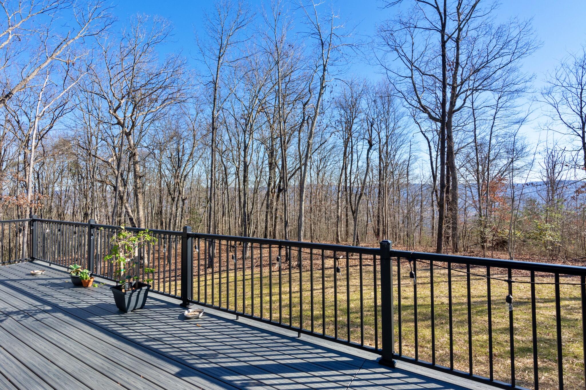 2770 Bluff View Drive Dunlap, TN 37327 - Photo 14 of 71 2770 Bluffview Rd-67
