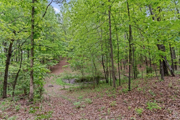 121 Hannah Road Summertown, TN 38483 - Photo 52 of 52 a view of outdoor space and green space