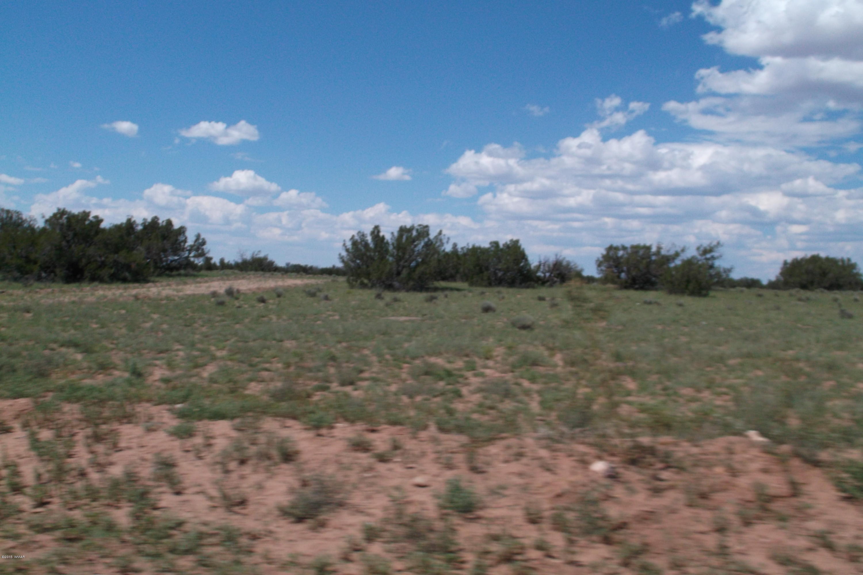 Lot 37 Red Sky Ranch St. Johns, AZ 85936 - Photo 1 of 2