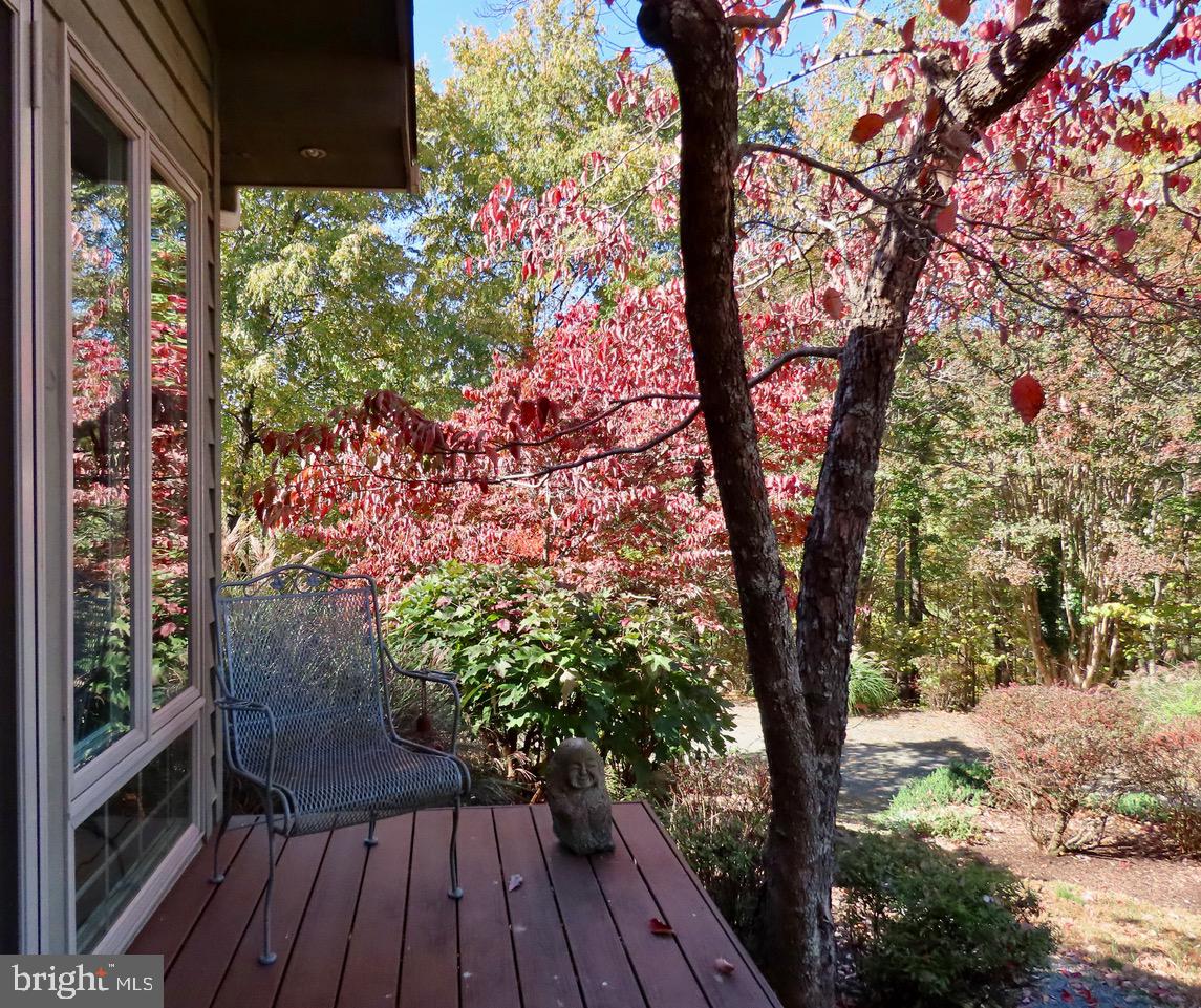 3016 Etlan Road Etlan, VA 22719 - Photo 21 of 42 Sun Room deck faces Old Rag & view