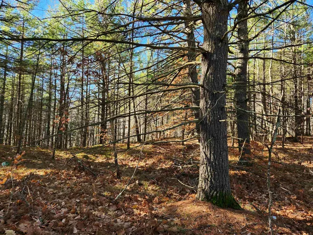 $130,000 | 18 White Mountain Highway, Unit 18, Sanbornville, NH 03872