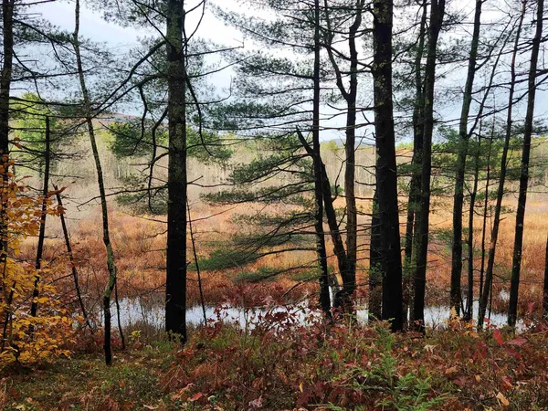 $130,000 | 18 White Mountain Highway, Unit 18, Sanbornville, NH 03872