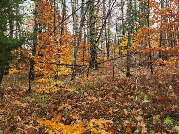 $130,000 | 18 White Mountain Highway, Unit 18, Sanbornville, NH 03872