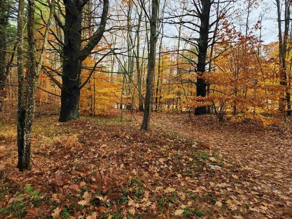 $130,000 | 18 White Mountain Highway, Unit 18, Sanbornville, NH 03872