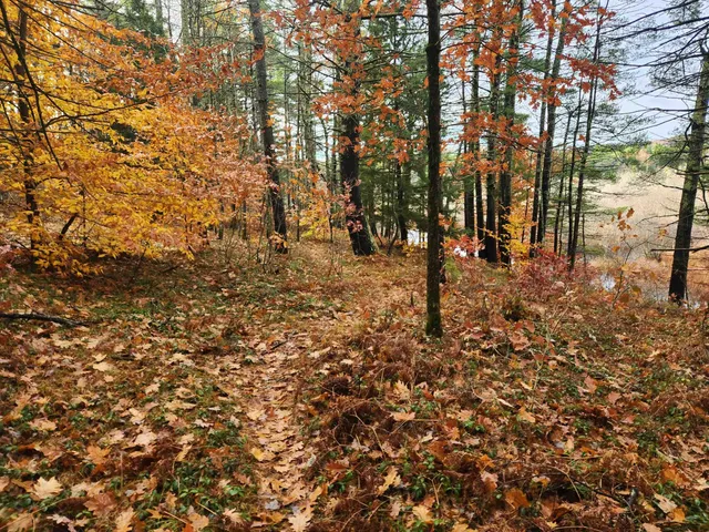 $130,000 | 18 White Mountain Highway, Unit 18, Sanbornville, NH 03872