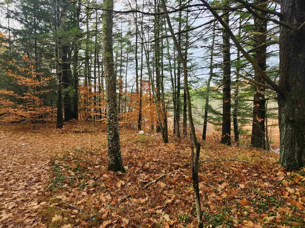 $130,000 | 18 White Mountain Highway, Unit 18, Sanbornville, NH 03872