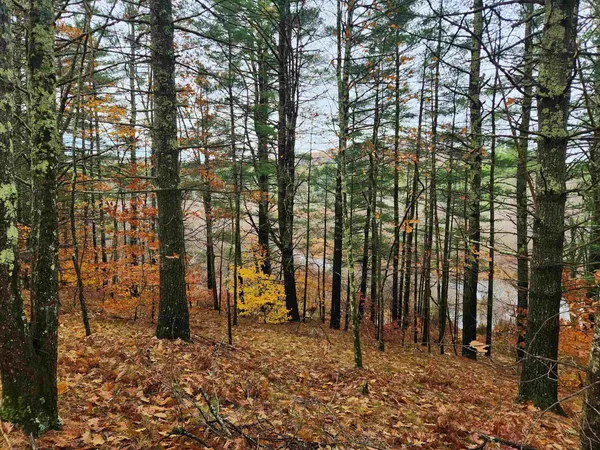 $130,000 | 18 White Mountain Highway, Unit 18, Sanbornville, NH 03872