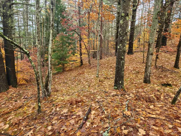 $130,000 | 18 White Mountain Highway, Unit 18, Sanbornville, NH 03872