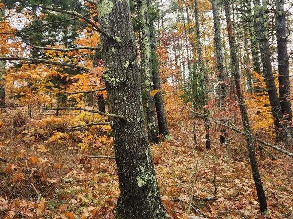 $130,000 | 18 White Mountain Highway, Unit 18, Sanbornville, NH 03872