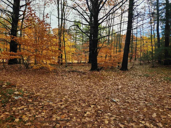 $130,000 | 18 White Mountain Highway, Unit 18, Sanbornville, NH 03872