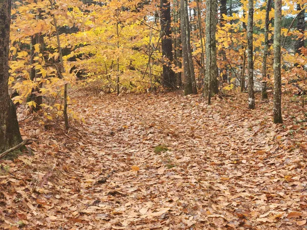 $130,000 | 18 White Mountain Highway, Unit 18, Sanbornville, NH 03872