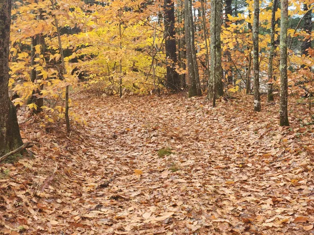 $130,000 | 18 White Mountain Highway, Unit 18, Sanbornville, NH 03872