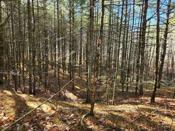 $130,000 | 18 White Mountain Highway, Unit 18, Sanbornville, NH 03872