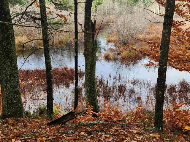 $130,000 | 18 White Mountain Highway, Unit 18, Sanbornville, NH 03872