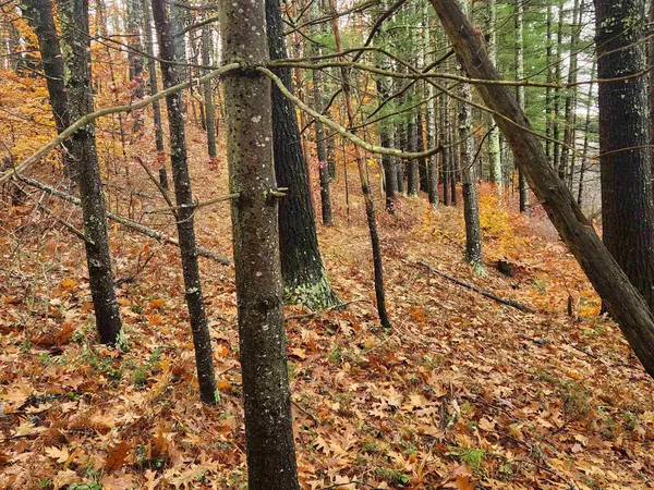 $130,000 | 18 White Mountain Highway, Unit 18, Sanbornville, NH 03872