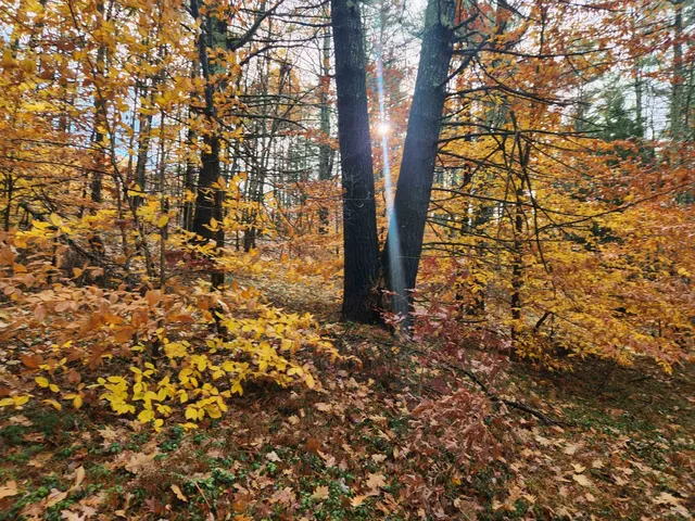 $130,000 | 18 White Mountain Highway, Unit 18, Sanbornville, NH 03872