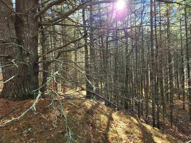 $130,000 | 18 White Mountain Highway, Unit 18, Sanbornville, NH 03872