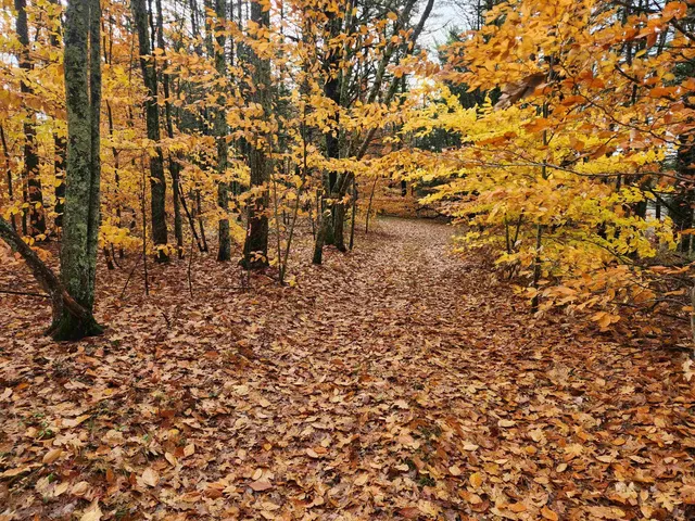 $130,000 | 18 White Mountain Highway, Unit 18, Sanbornville, NH 03872