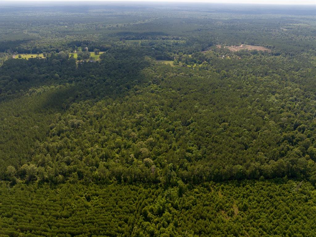 Off Webb Spikes Road Merryville, LA 70653 - Photo 2 of 5