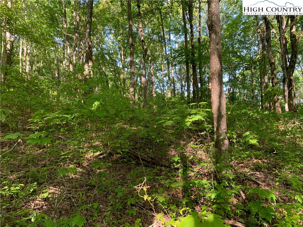 1476 John Alley Road Lansing, NC 28643 - Photo 18 of 50 Gallery Image 18