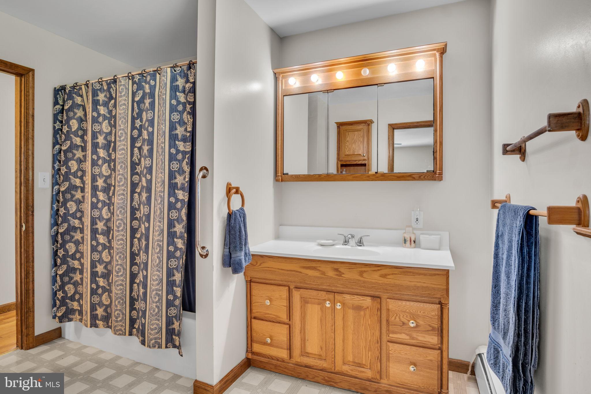 1325 Goodyear Road Gardners, PA 17324 - Photo 23 of 39 a bathroom with a sink a mirror and a shower